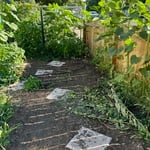 Lawn & Yard Work Project