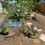 Lawn & Yard Work Project
