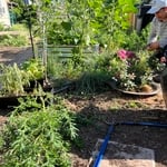 Lawn & Yard Work Project