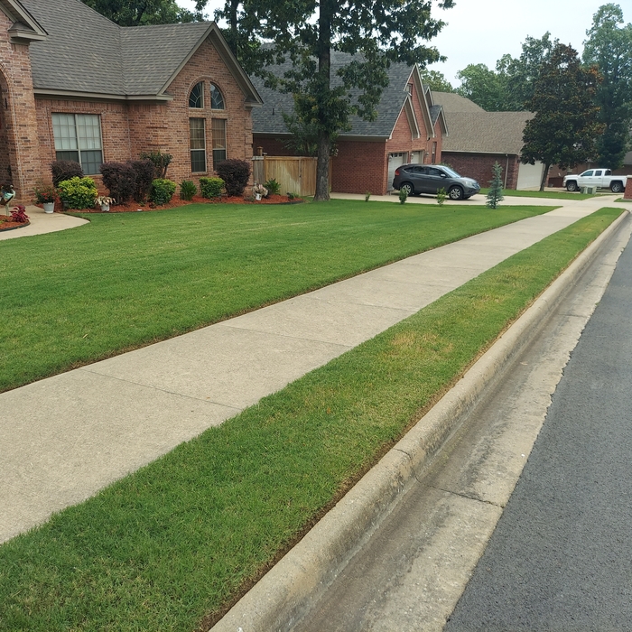 Additional Photos