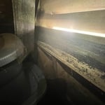 Animal Removal Project
