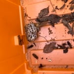 Pest Control Project