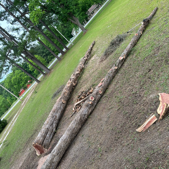 Additional Photos