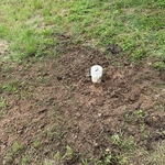 Sewer Cleaning Project