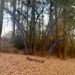 Tree Service Project