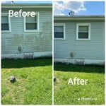 Pressure Washing Project