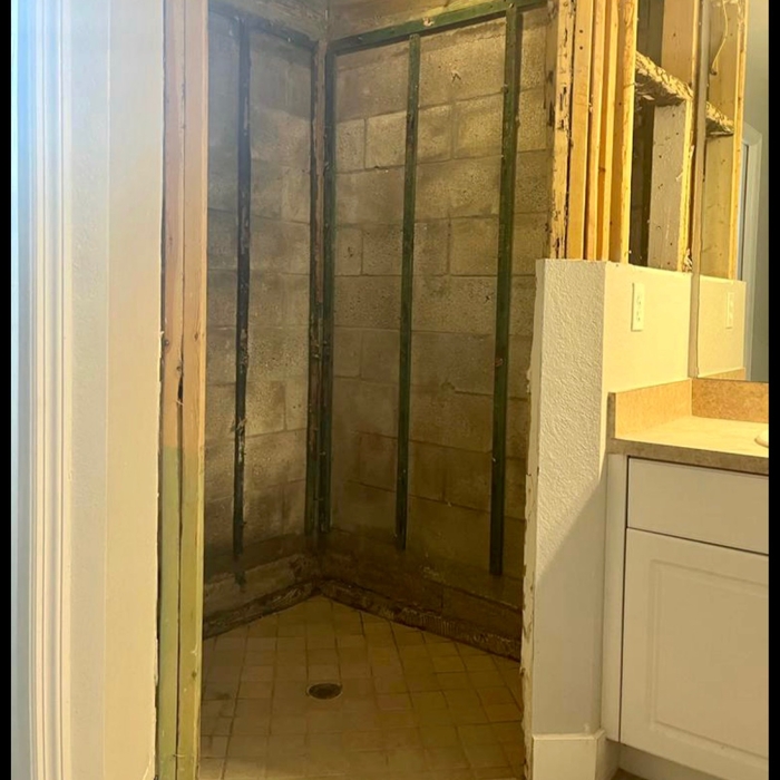 During: Mold completely removed.