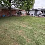 Installed sod