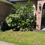 Landscaping Project
