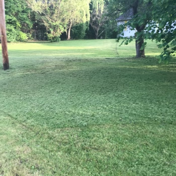 Lawn & Yard Work Project