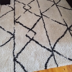 Carpet Cleaning Project