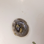 Some build up ans rust and hair
