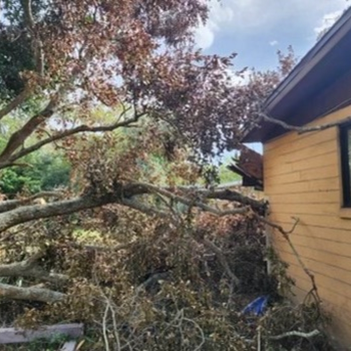 Storm Damage Daytona Beach