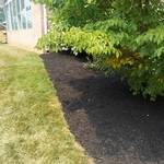 Landscaping Project