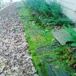 Walk way before 2.