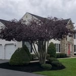 Mulching/Trimming