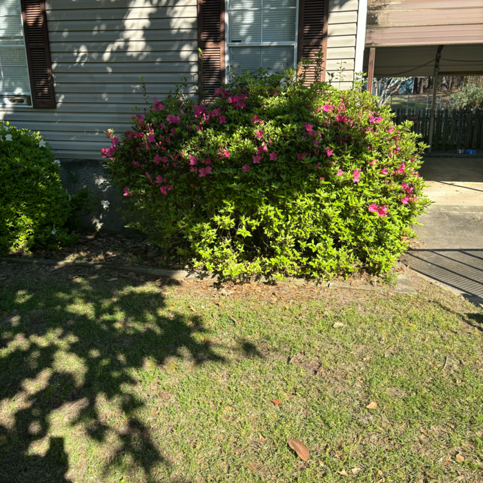 Additional Photos
