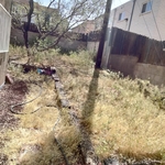 Clean yard
