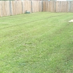 Lawn