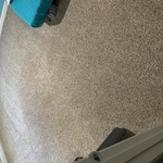 Carpet Cleaning Project