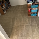 Carpet Cleaning Project