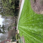 Landscaping Project