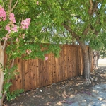 New Fencing