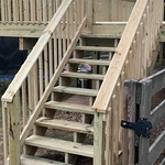 Deck Build