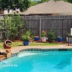 Yard Makeover
