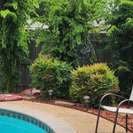 Yard Makeover