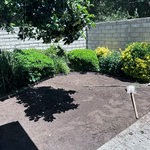 Landscaping cleanup