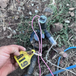 Landscaping cleanup