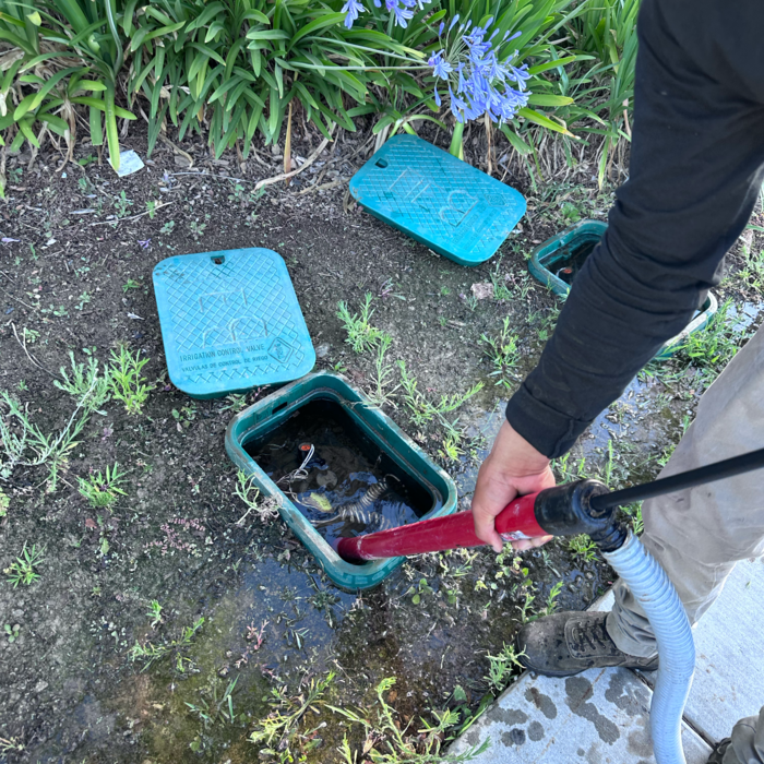 Landscaping cleanup