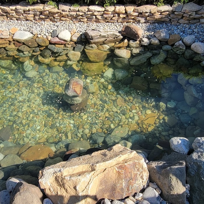 Water garden