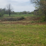 Land Clearing