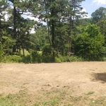 Land clearing
