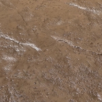 Stamped concrete