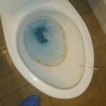 Before deep cleaning toilet