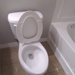 After deep cleaning toilet