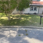 Lawn and Yard Work Project