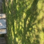 Lawn and Yard Work Project