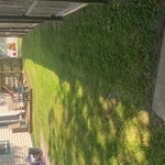 Lawn and Yard Work Project