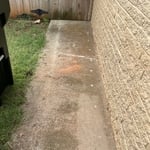 Pressure Washing Project