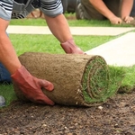 Lawn Mowing and Maintenance