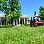Lawn Mowing and Maintenance