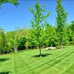 Lawn Mowing and Maintenance