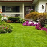 Lawn Mowing and Maintenance
