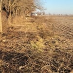 Fence line clearing