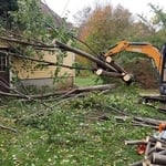 Emergency Tree Removal