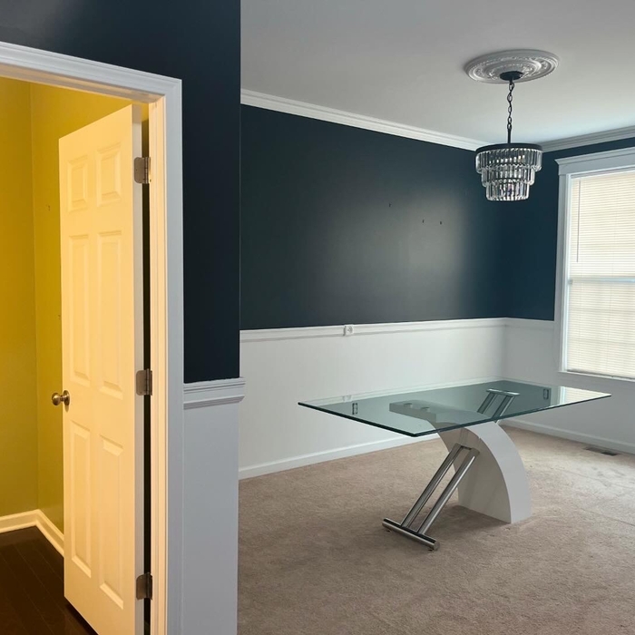 Interior Painting Project
